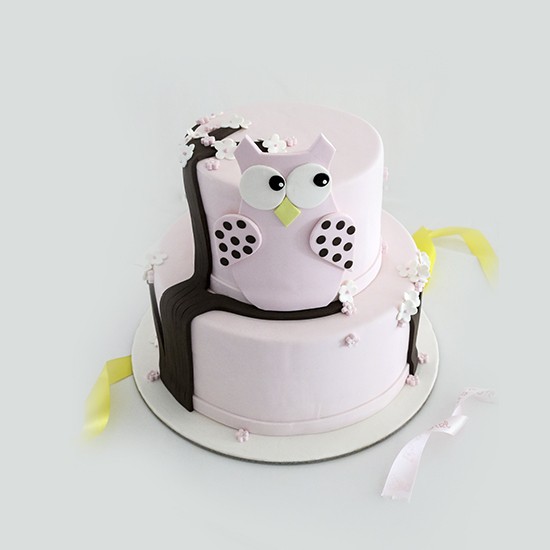 Hibouchouette Les Gateaux D Anniversaire Gourmandise Tunisie