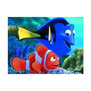 Nemo 1