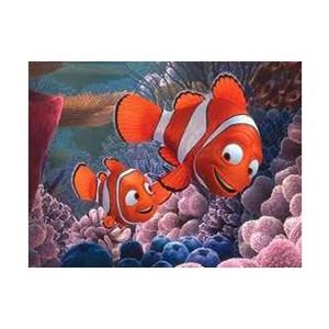 Nemo 3