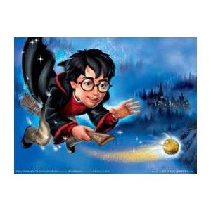 Harry Potter  2